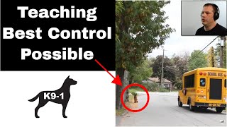 Avoidance Conditioning in Canine Coaching Obedience (K9-1.com)