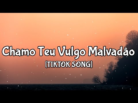 Mc jhenny - Chamo Teu Vulgo Malvadão (Lyrics) ft. DJ KOSTA 22 "Mete com força" [Tiktok Song]