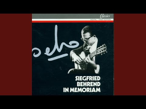 Die Gitarren von Quimet