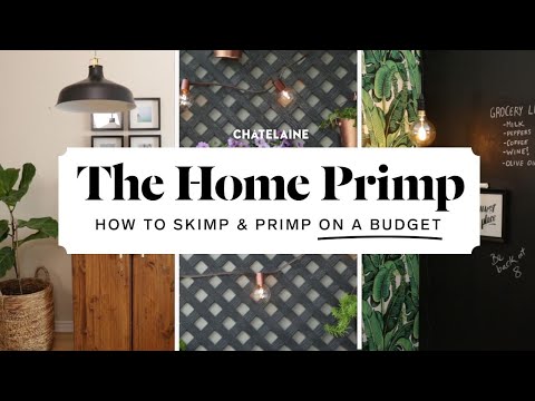 The Home Primp - New Episodes Coming Soon!