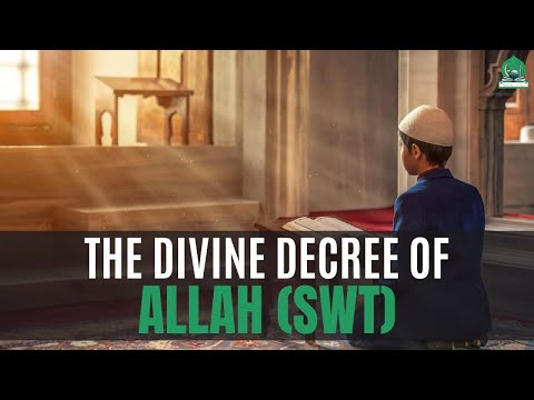 The Divine Decree of Allah SWT | Motivation is Islam