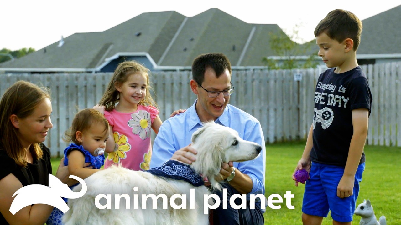 An Emotional Dog Adoption! | Pit Bulls and Parolees | Animal Planet