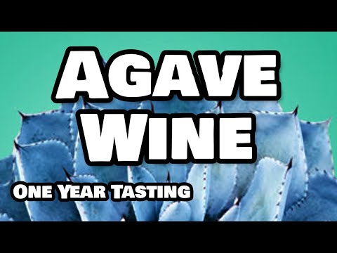 Agave Wine One Year Tasting