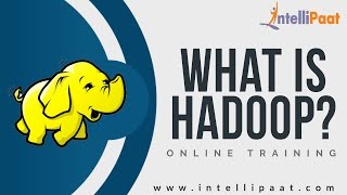 What is Hadoop Tutorial | Learn Big Data | Big Data and Hadoop | Learn Hadoop Online | Intellipaat