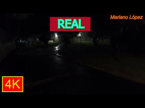 4K - RAIN sounds for SLEEPING (very soft thunder) - REAL RELAXING RAIN in the park - Sleep instantly