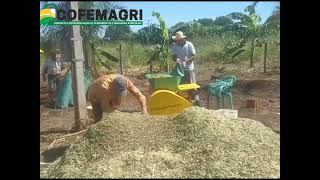 ENSILADEIRA GDC 4000. A melhor e mais econômica ensiladeira do mercado. (16)9 9733 6362