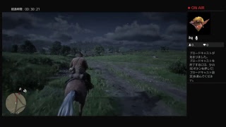 有吉絶賛のレッドデッドリデンプション2ただただ楽しみながらストーリーすすめてく