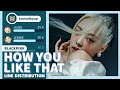 BLACKPINK How You Like That Line Distribution