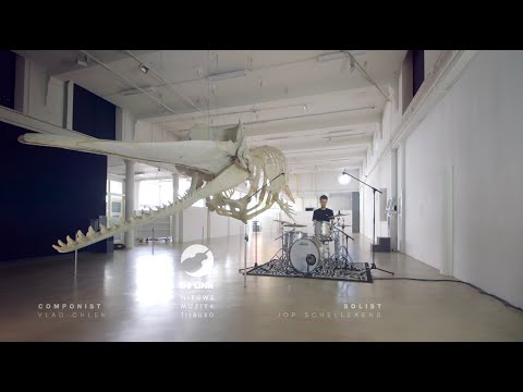 Slagwerker Jop Schellekens speelt een compositie van Vlad Chlek in Natuurmuseum Brabant