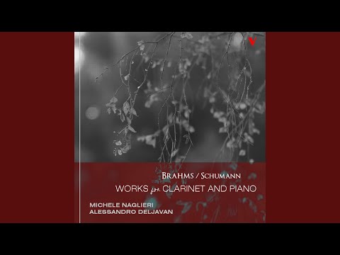 Clarinet Sonata in F Minor, Op. 120, No. 1: IV. Vivace