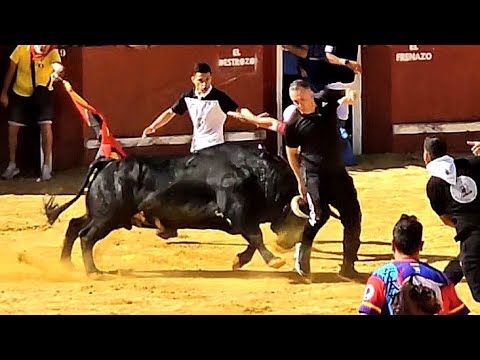 Indigena Cogida