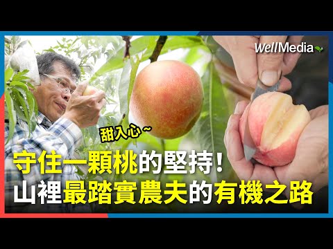 一棵桃的堅持：從不妥協的自然農法，到最安心的一口甜！他用一生，為山林守住這顆最純淨的水蜜桃！#拉拉山水蜜桃農夫的有機之路【Well Talk】