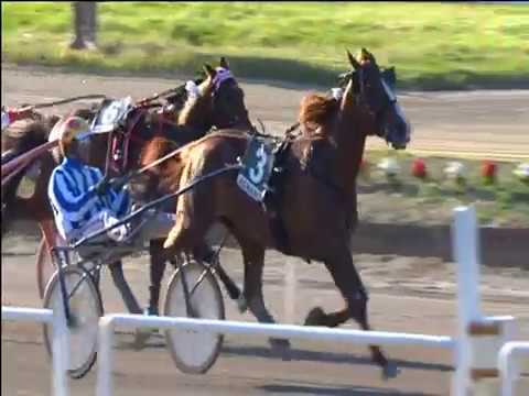 Trotto 30/04/2017 - 7ª corsa - G.P. Regione Campania