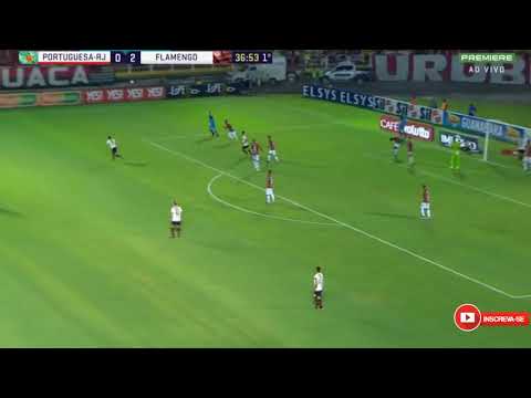 Cariocando --- Flamengo 3 x 1 Portuguesa SHOW DE GABIGOL