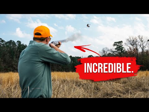 My First Quail Hunt - George Hi Plantation in North Carolina