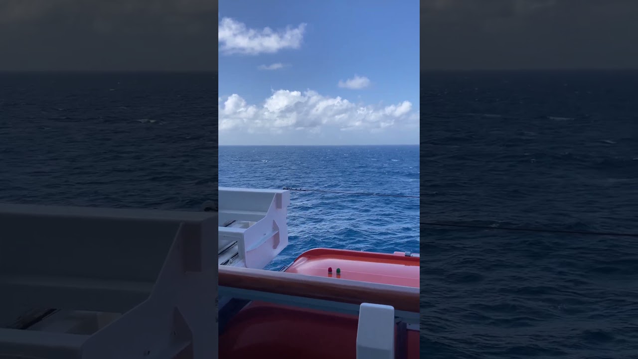 MS Rotterdam - Cabin 4059 - Video 1