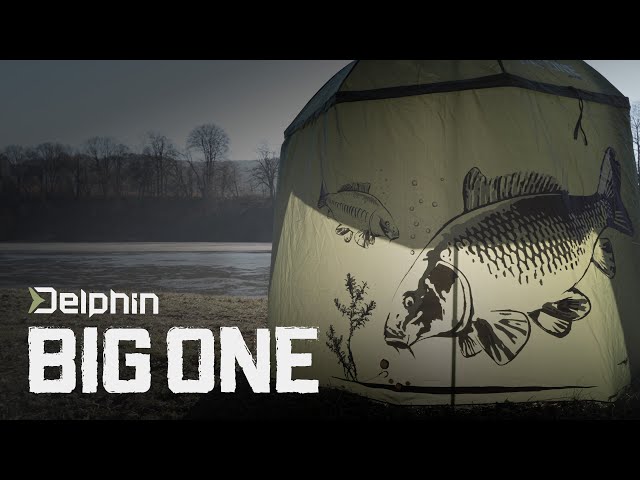 umbrella Delphin BigONE CARP
