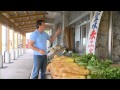 Explore Japan The Secret To Longevity