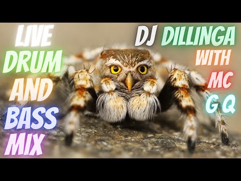 DJ  -  DILLINGA  -  MC -  GQ   LIVE
