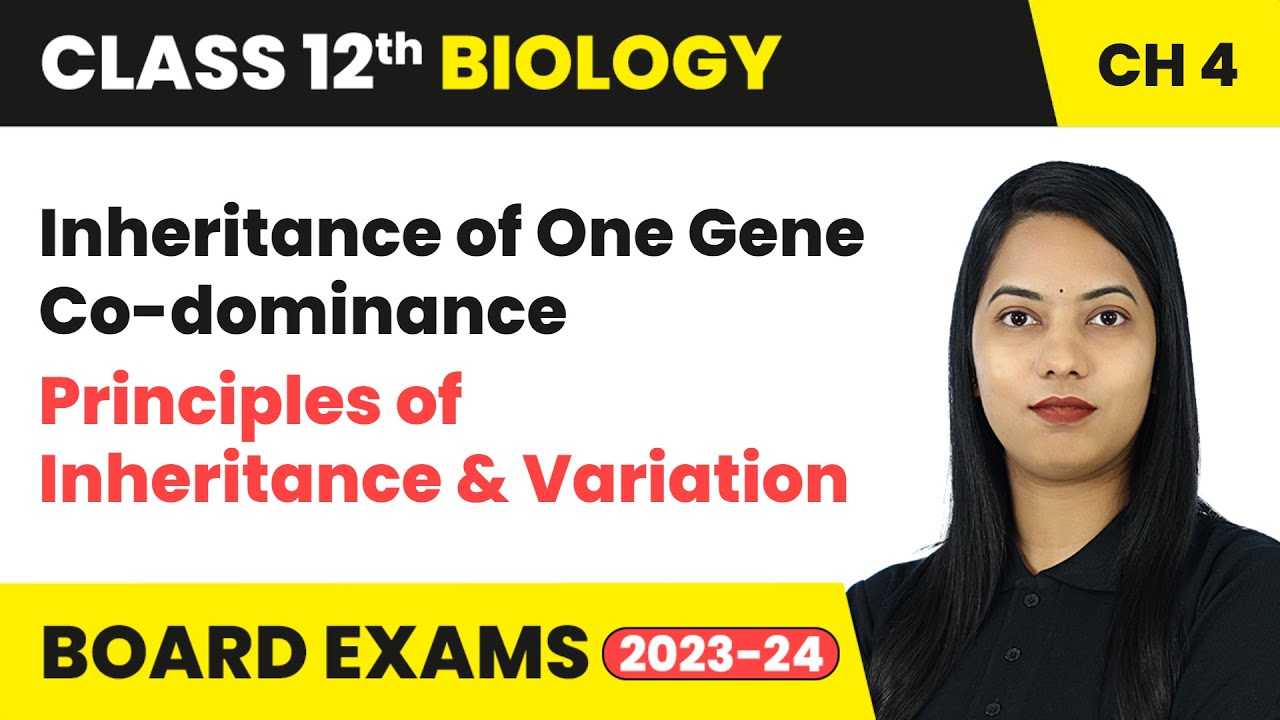 Inheritance of One Gene Co-dominance - Principles of Inheritance & Variation | Class 12 Biology Ch 4