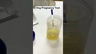 Hcg Pregnancy Test #shorts