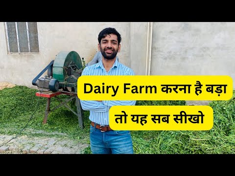 Dairy Farm अगर करना है बड़ा तो यह सब सीखो ॥ Indian Dairy Farming || Grewal Dairy Farm.
