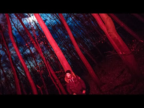 Tom Jeefs - Before Dawn