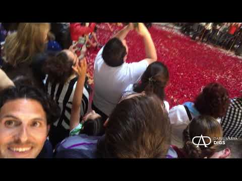 Raining Roses in Rome’s Pantheon