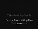 The Stranglers - Golden Brown (lyrics)