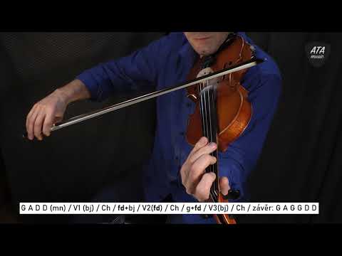 Měsíční muzikantská výzva (housle) – Zlatá rybka