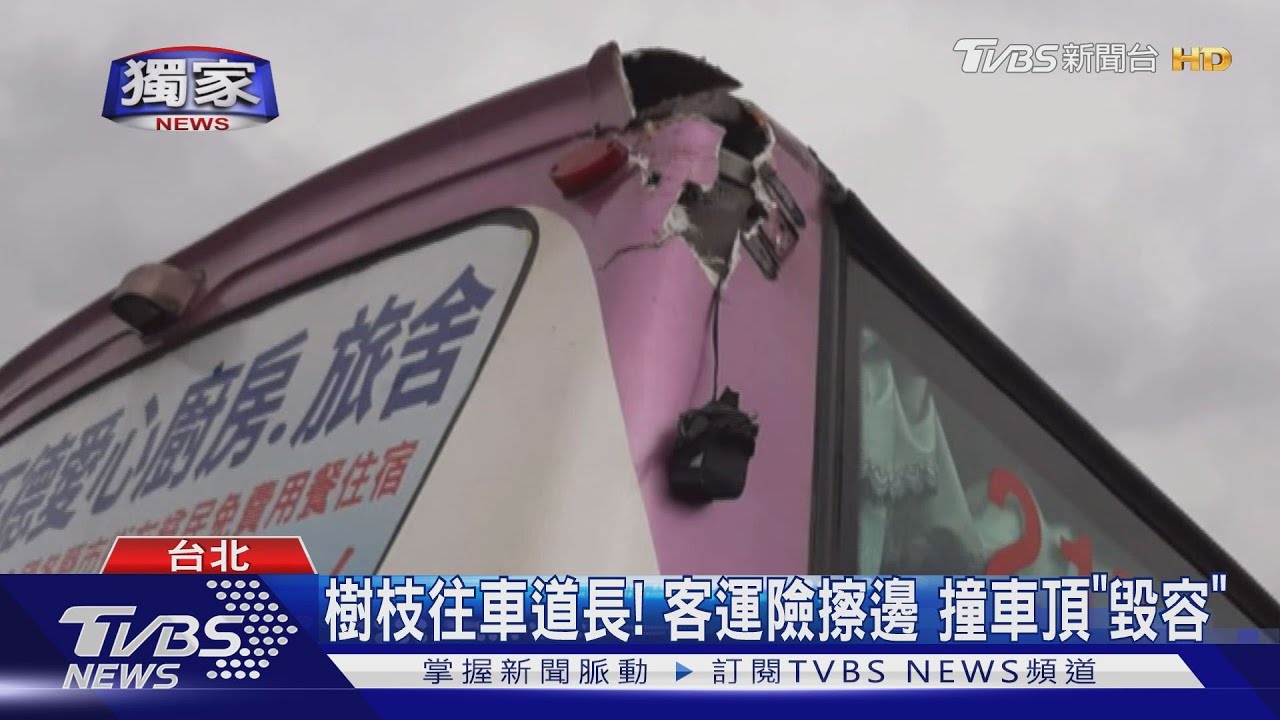 樹幹分支「削」客運車頂 葉「狂掃」觀巴露天棚