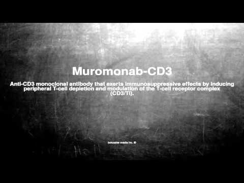 Medical vocabulary: What does Muromonab-CD3 mean