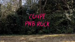 Coupe PNB Rock (Dance Video) @d_g0tchu