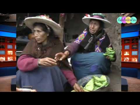 🔴 MADRECITA  ANTENOGENES ROSALES