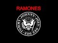 THE TOP RAMONES COVER 2014 - I WANNA BE ...
