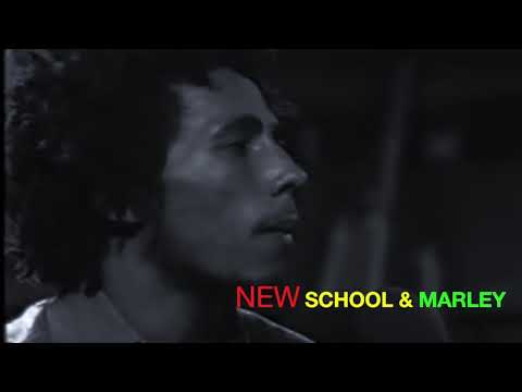 New SchooL - Stir it Up . Marley (Ravers Remix)
