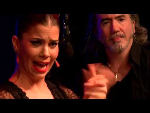 Vídeo GRUPO DE FLAMENCO, FLAMENCO JAZZ,... 1