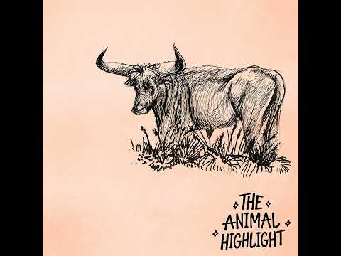 S5E10: Heck Cattle - Where Nazi Eugenics Meets Modern Rewilding