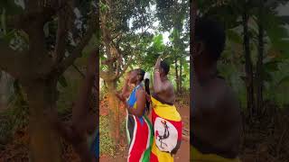 Traditional dance #lifestyle #villagelife #shortvideo
