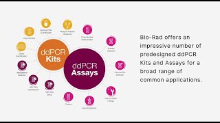 Did You Know that Bio-Rad offers Expert Design Assays to Cover All of Your Assay Needs?