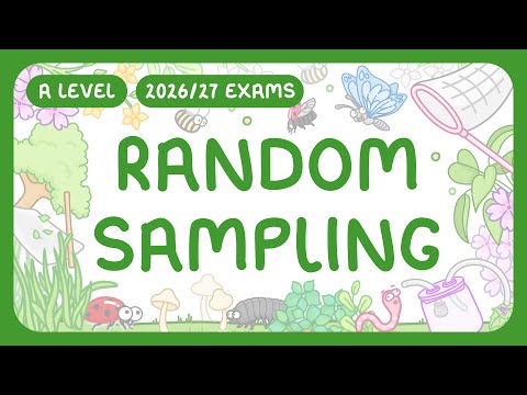 A-Level Biology - Random Sampling - Techniques | Estimating Population Size (2026/27 Exams)