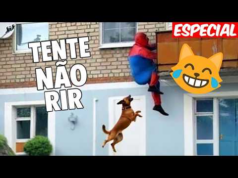 ESPECIAL SE RIR, PERDE! VÍDEOS PARA MORRER DE RIR 😂