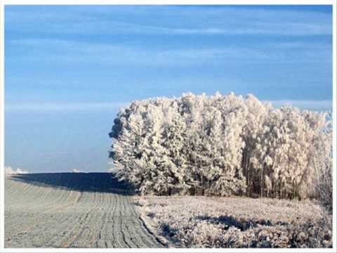 16 Bit Lolitas feat Jennifer Horne - Nobody Seems To Care (Original Mix)