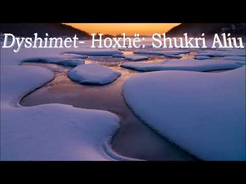 Dyshimet - Hoxhë: Shukri Aliu