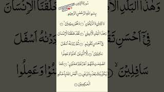 Download lagu Surah At-Tin | Beautiful Quran Recitation | سورة التين | Heart Touching Tilawat #surahattin #short mp3