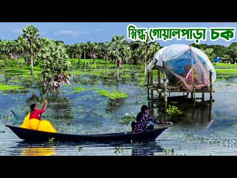 প্রাকৃতিক সৌন্দর্যে ঘেরা ফরিদপুরের গোয়ালপাড়া চক || Panorama Documentary