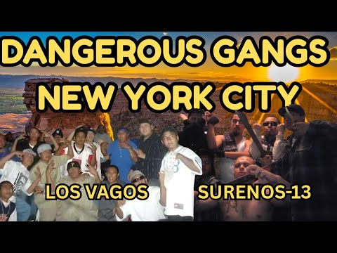 Dangerous NYC Gangs You’ve Never Heard Of | Inside New York’s Secret Underworld