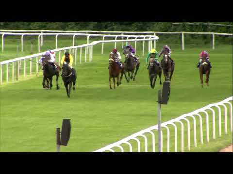 Galopprennbahn Dresden - 03.09.2017 - 4.Rennen