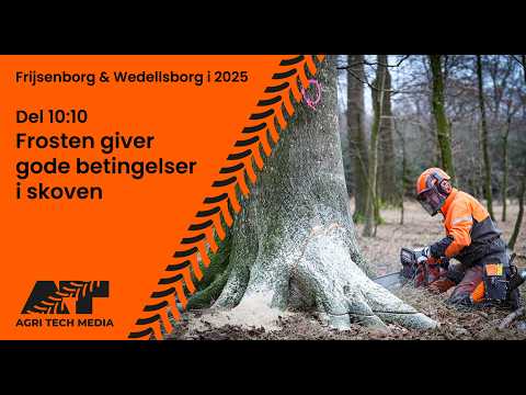 🇩🇰 Frijsenborg & Wedellsborg i 2025 - Del 10: Frosten giver gode betingelser i skoven