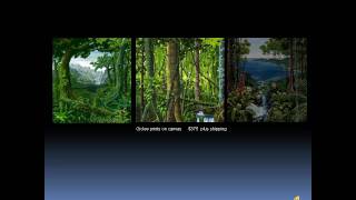 preview picture of video 'Costa Rica Artist / Osa Peninsula  Artist / On Line Paintings / Painter on line'